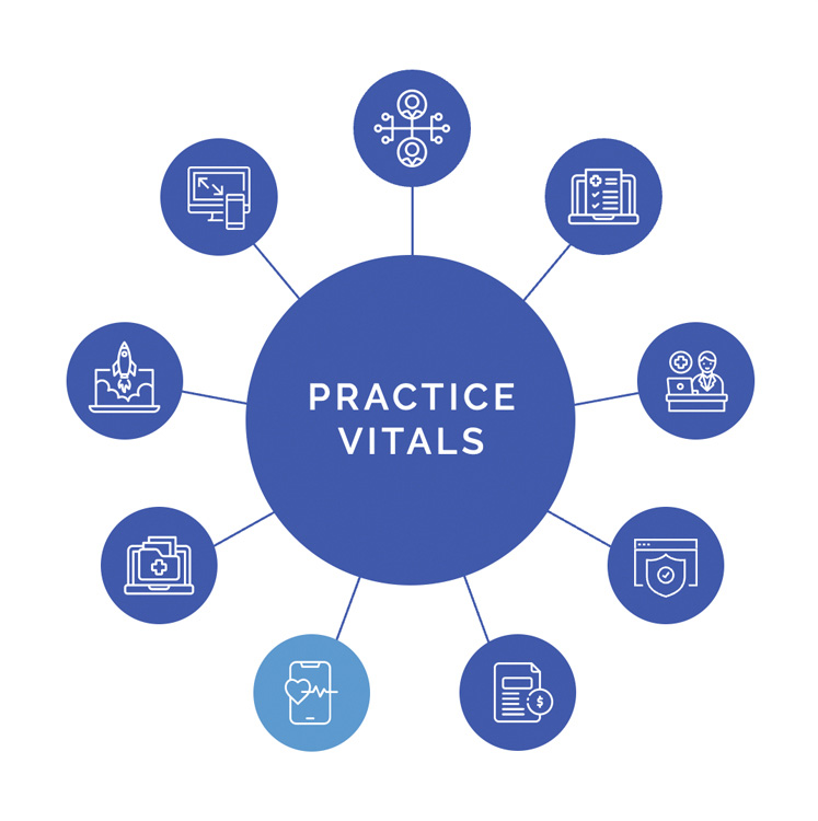 Graphic of 4th Season Consulting Practice Vitals with 9 spokes showing HIPAA Compliance spoke