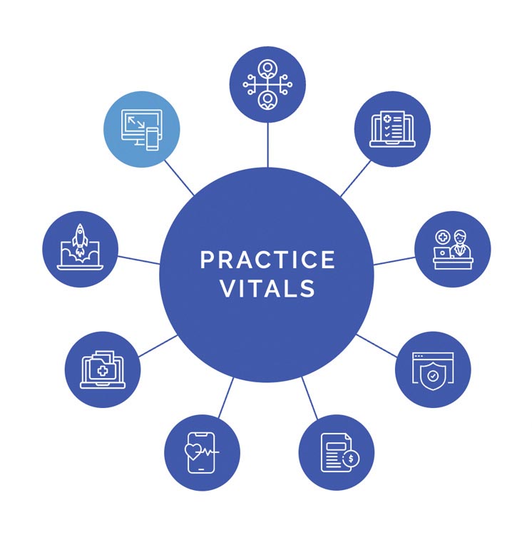Graphic of 4th Season Consulting Practice Vitals with 9 spokes showing Web Design and Development spoke